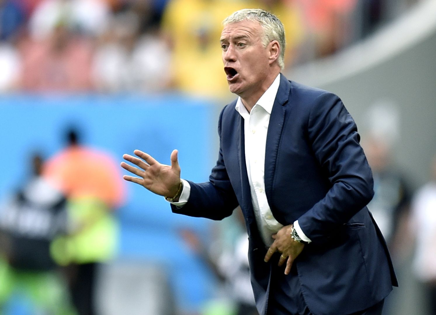 Deschamps for world cup