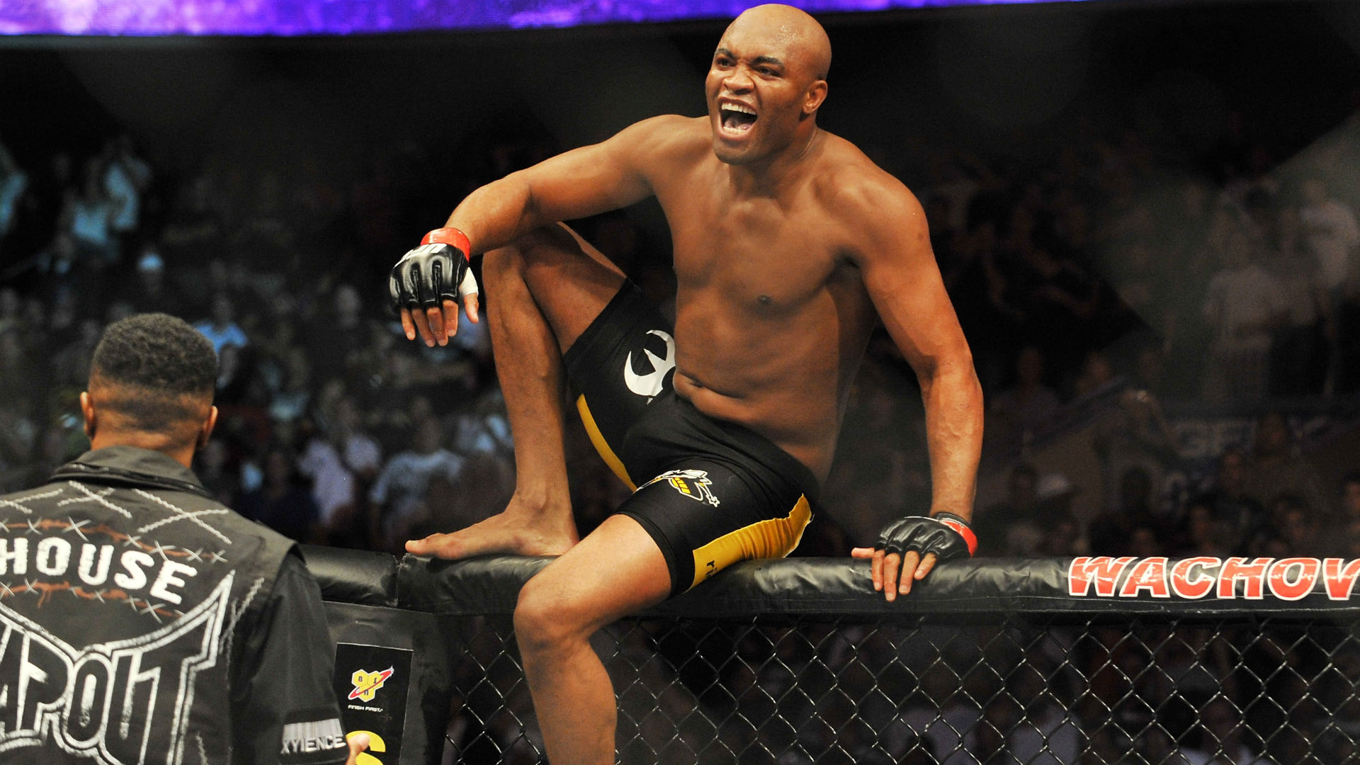 anderson silva ufc 200